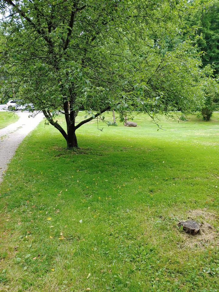 2201 W Bath Rd - Photo 3 of 22