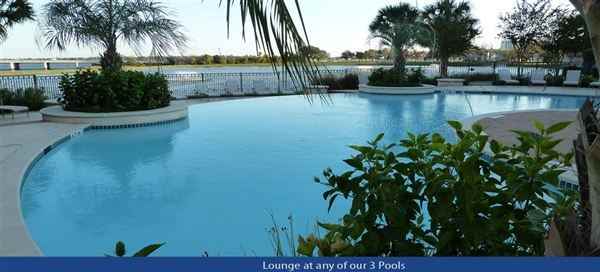 Bay Area Boulevard Apartments in Clear Lake, Houston, TX 77058 Zumper