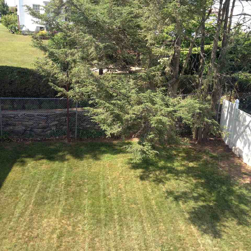 13 Anderson St - Photo 3 of 7