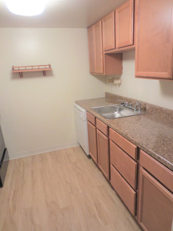 6350 Forward Ave #5 - Photo 2 of 25