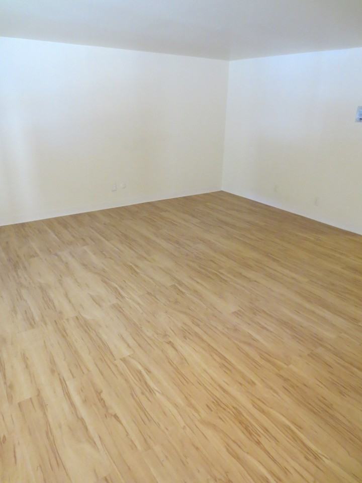 6350 Forward Ave #5 - Photo 7 of 25