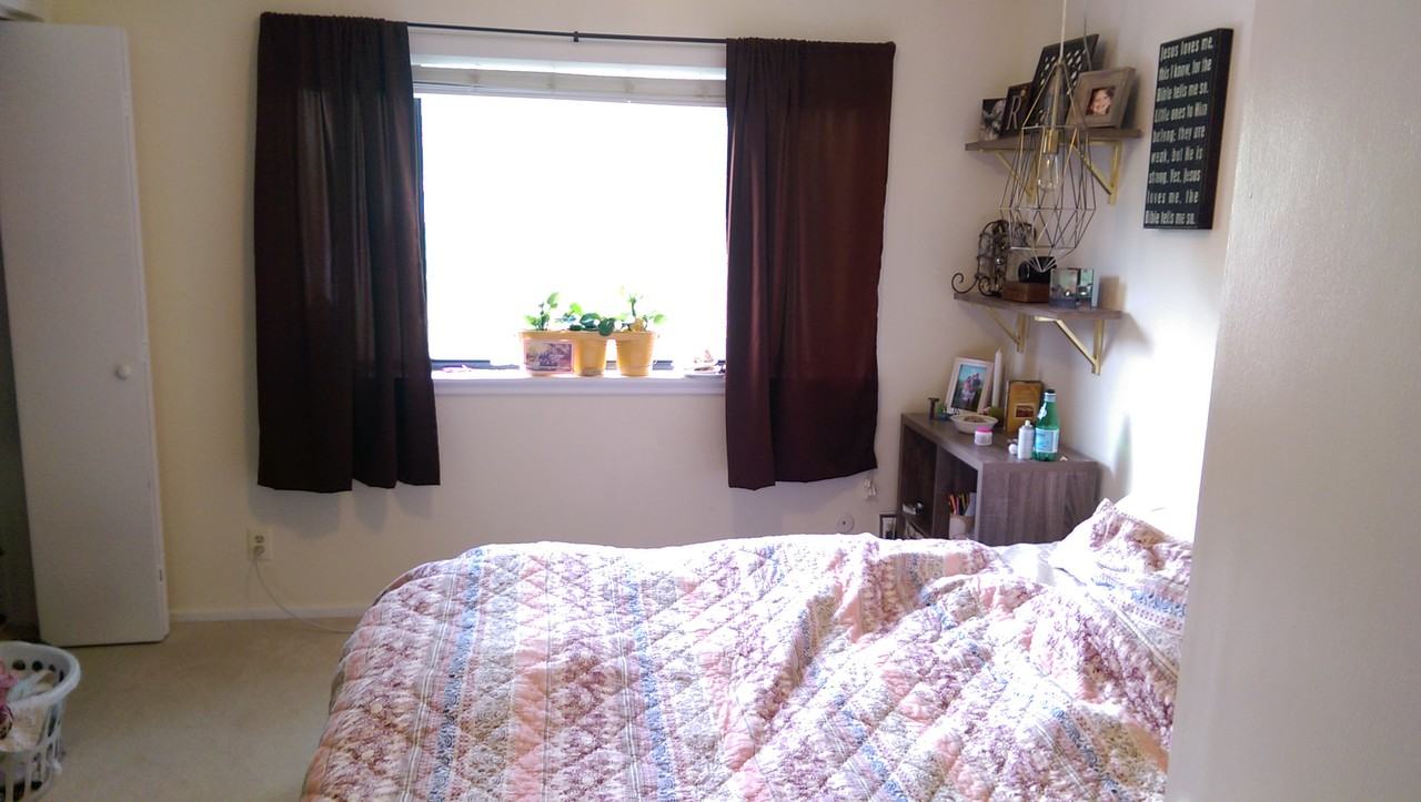 646 Quince Cir - Photo 3 of 12