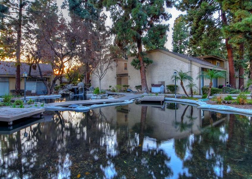 THE STREAMS - Photo 3 of 7