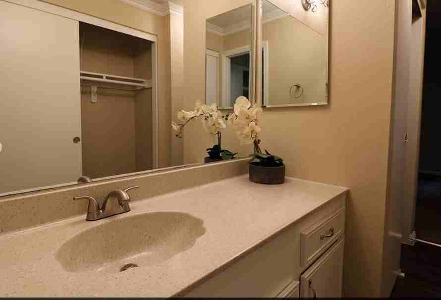 THE STREAMS - Photo 7 of 7