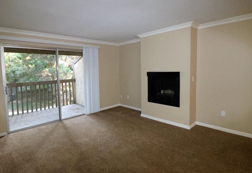 THE STREAMS - Photo 5 of 7