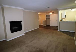 THE STREAMS - Photo 1 of 1