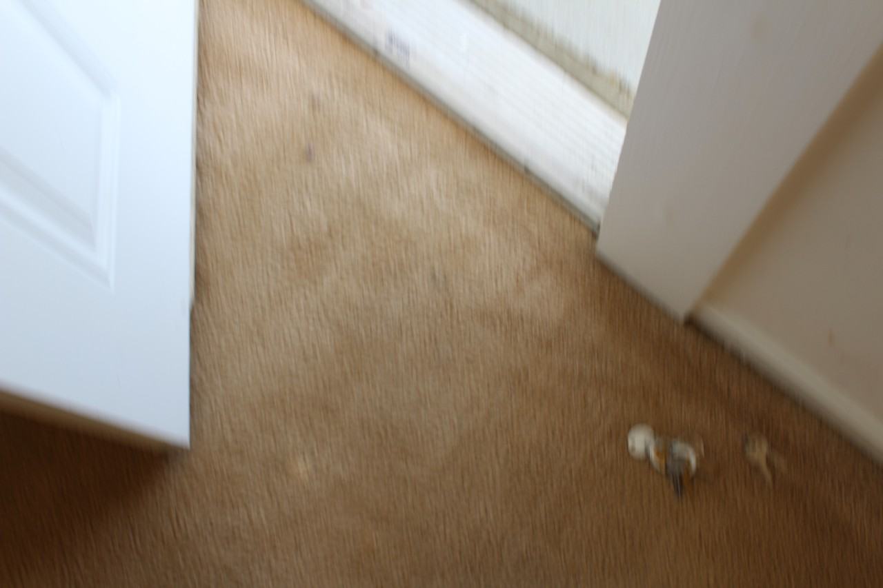 4402 Fredericksburg Turnpike - Photo 2 of 18