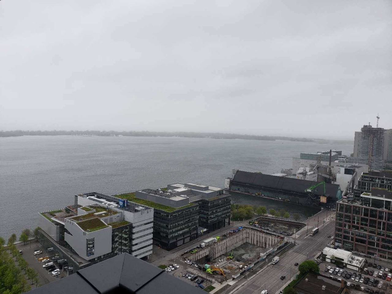 16 Bonnycastle Street #3111