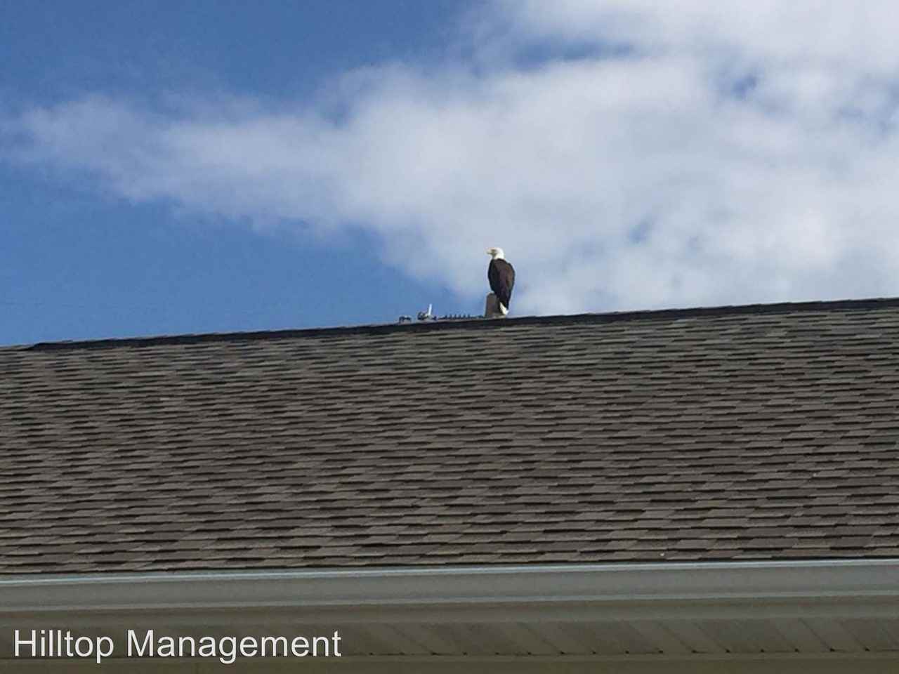 331 Peterson Rd - Photo 2 of 30