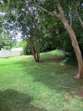 818 Ona Dr - Photo 3 of 13