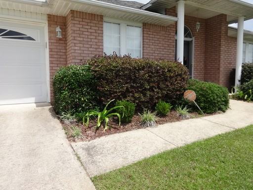 806 Travis Ct - Photo 2 of 13