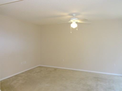 806 Travis Ct - Photo 3 of 13