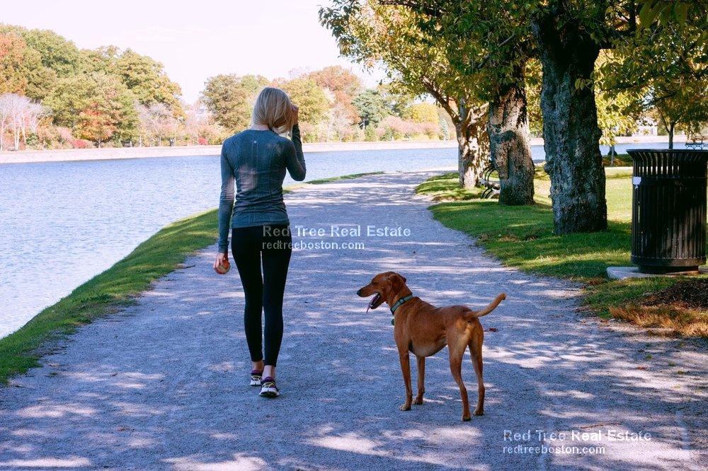 1223 Beacon Street #410 - Photo 3 of 10