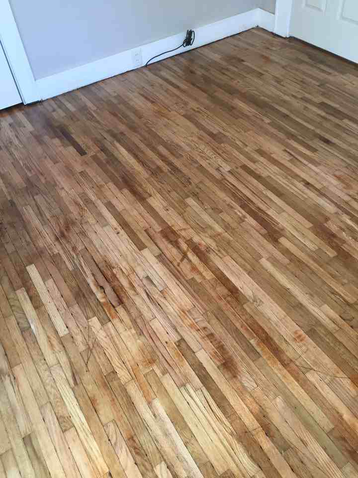 1238 Wauponsee St - Photo 3 of 16