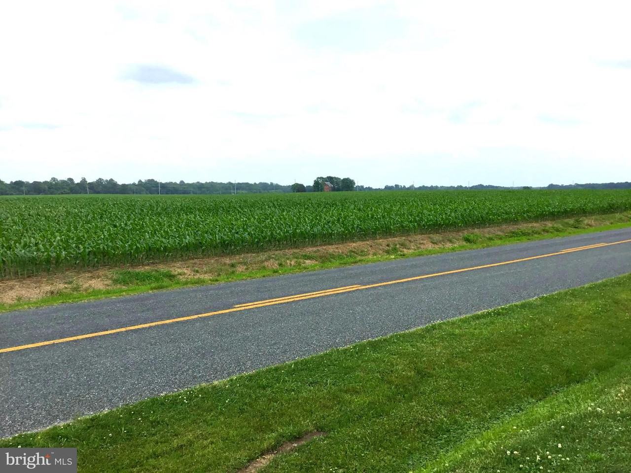 272 Granny Branch Rd - Photo 3 of 25