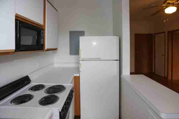 635 W Barry Ave #408 - Photo 3 of 13