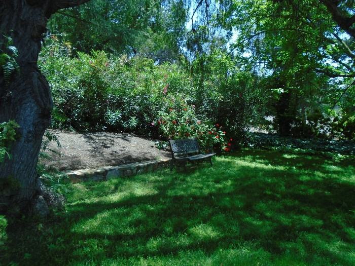 16303 Avenida Florencia - Photo 3 of 30