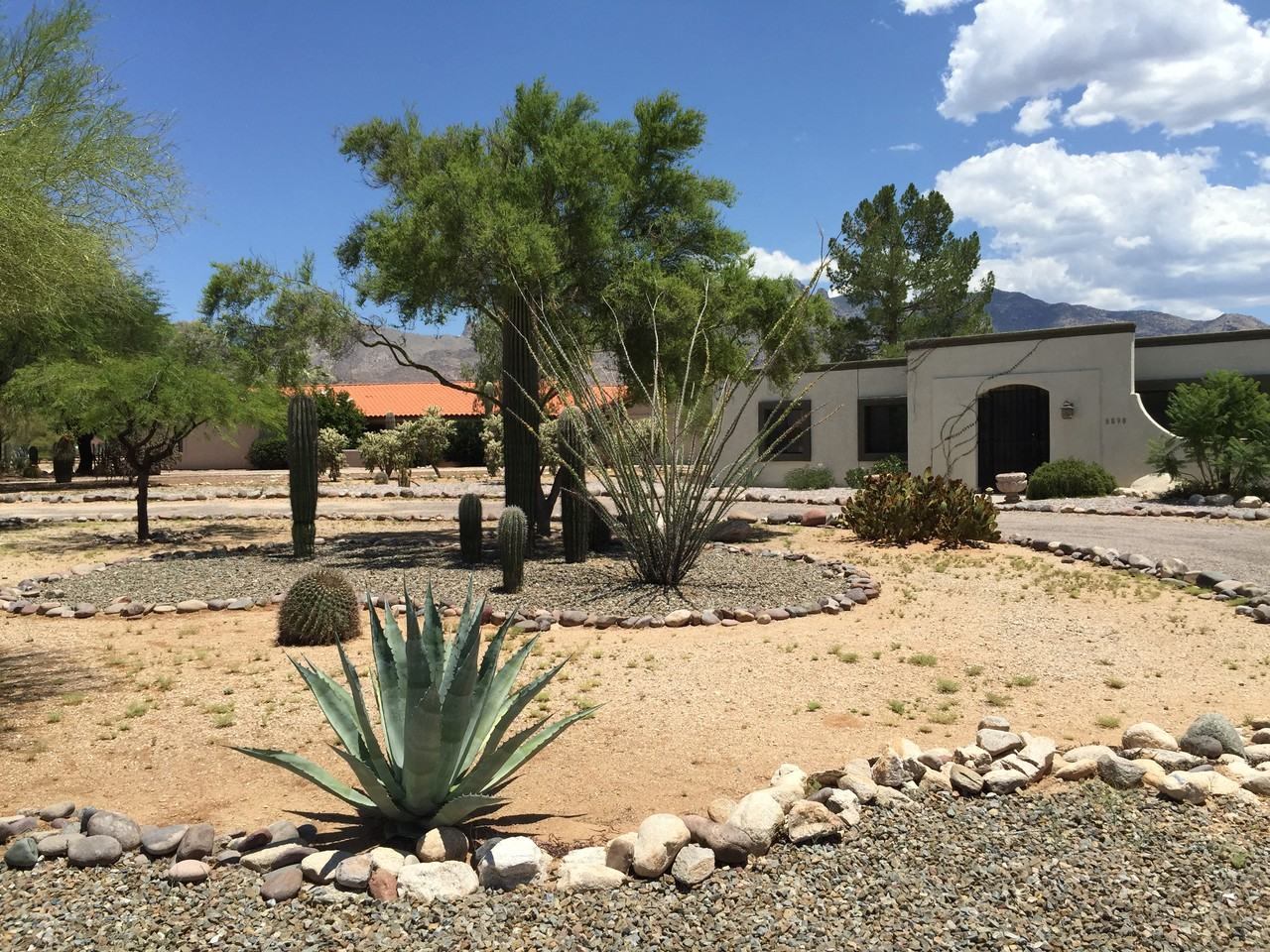 6090 N Calle De La Culebra - Photo 2 of 25