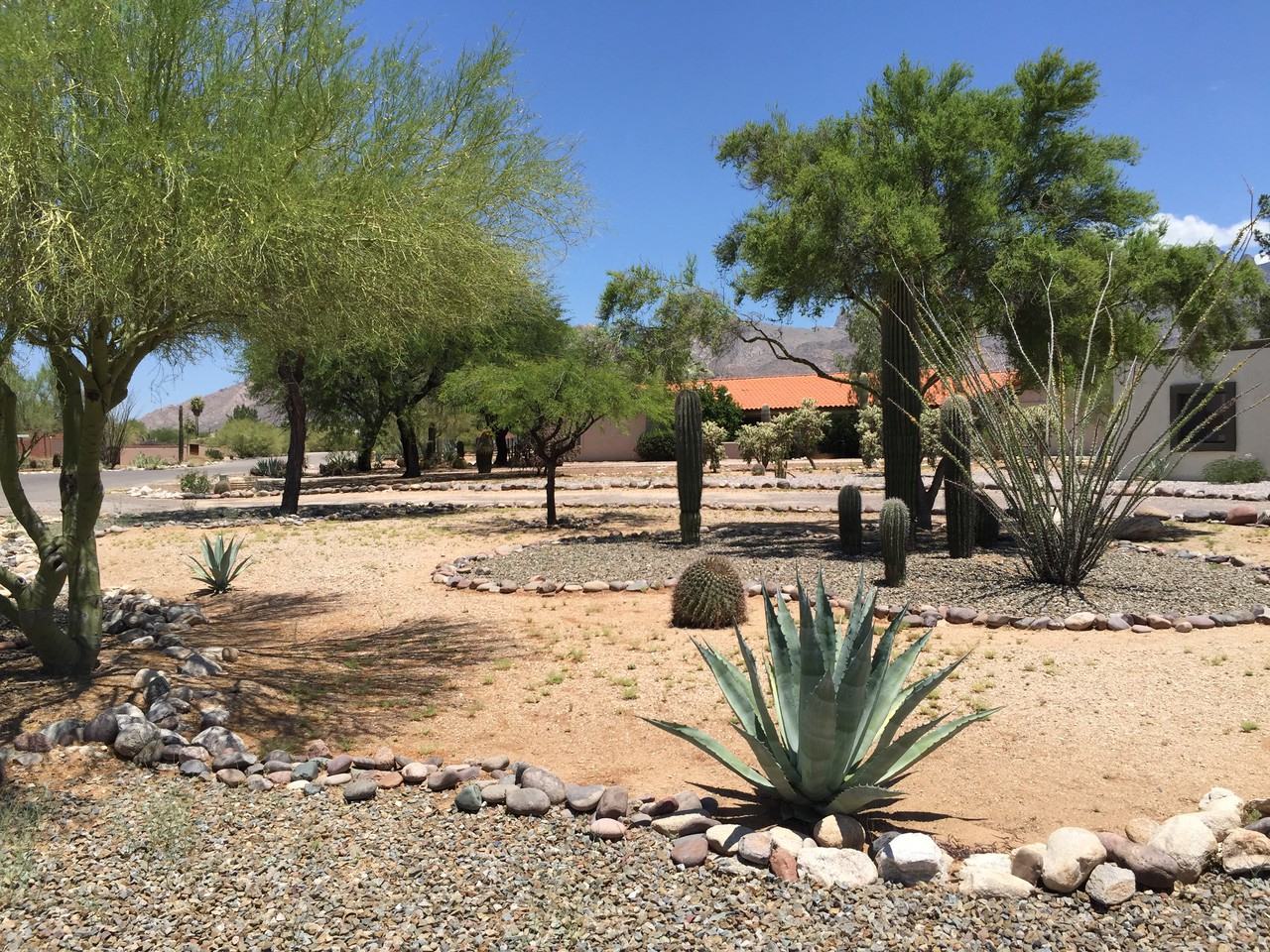 6090 N Calle De La Culebra - Photo 3 of 25