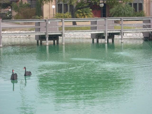 8 Lake Shore Dr - Photo 2 of 25