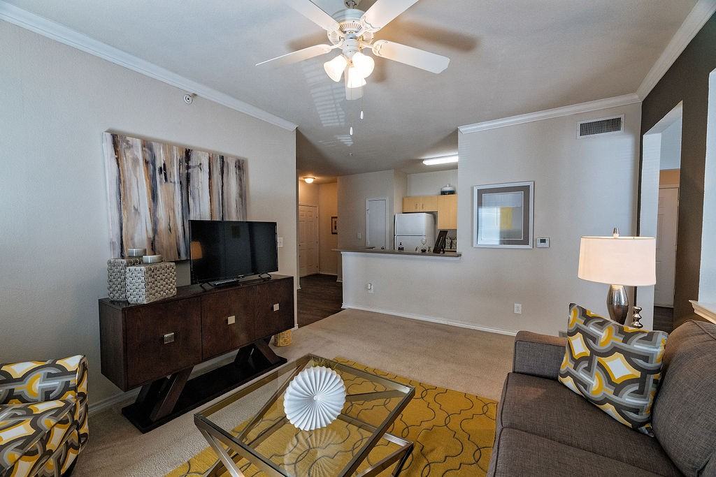 Ascent North - Photo 7 of 50