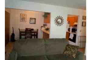 Aspen - Photo 2 of 10