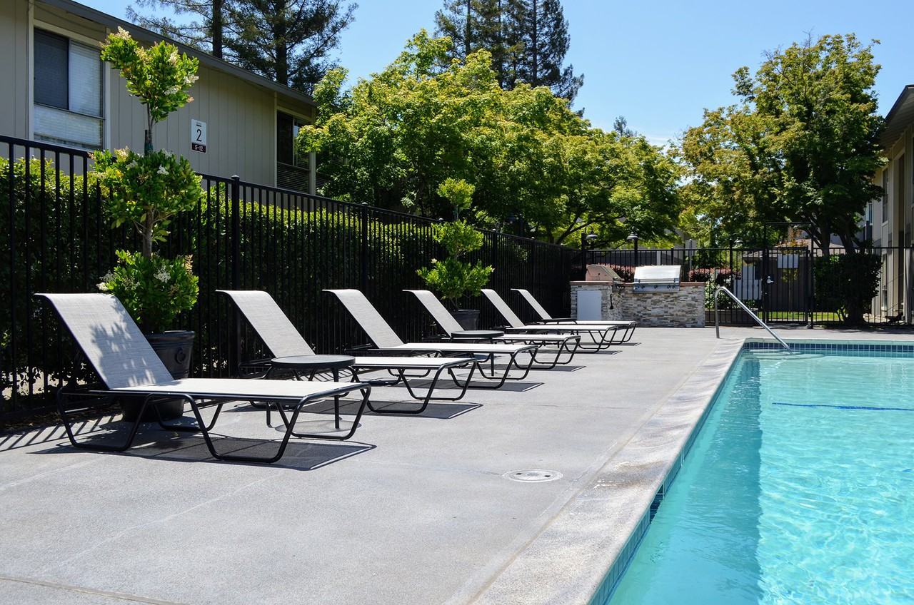 BELLA VISTA - NAPA - Photo 3 of 22