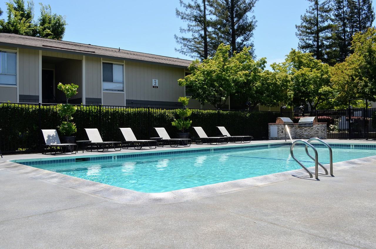 BELLA VISTA - NAPA - Photo 6 of 22