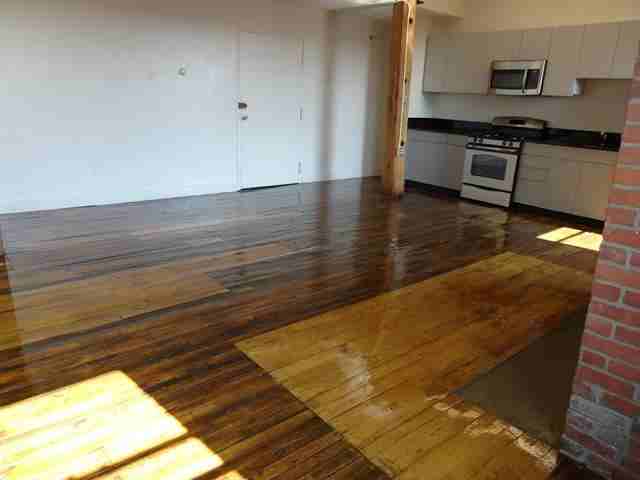 791 Tremont Street #515