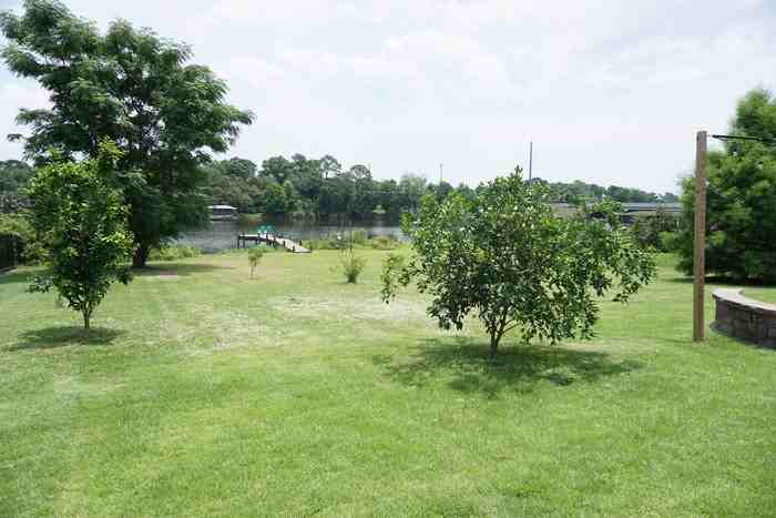 204 N Pinewood Ln - Photo 2 of 18