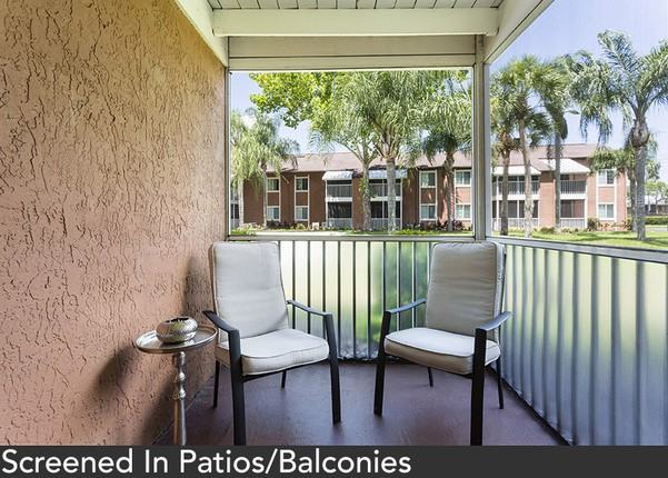 Coconut Palms - Photo 2 of 11