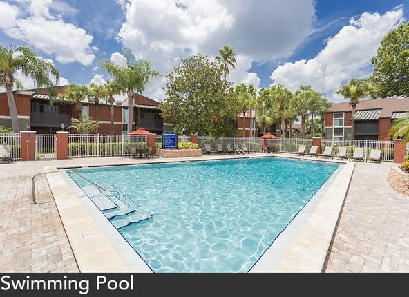 Coconut Palms - Photo 3 of 11