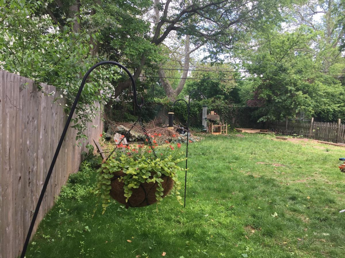 133 East Mount Airy Avenue - Photo 3 of 10