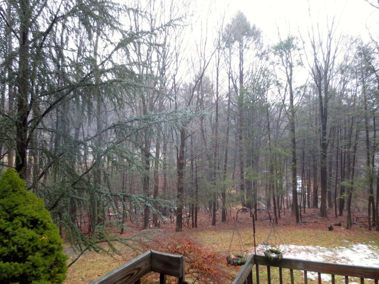 89 Burnt Meadow Road - Photo 3 of 7