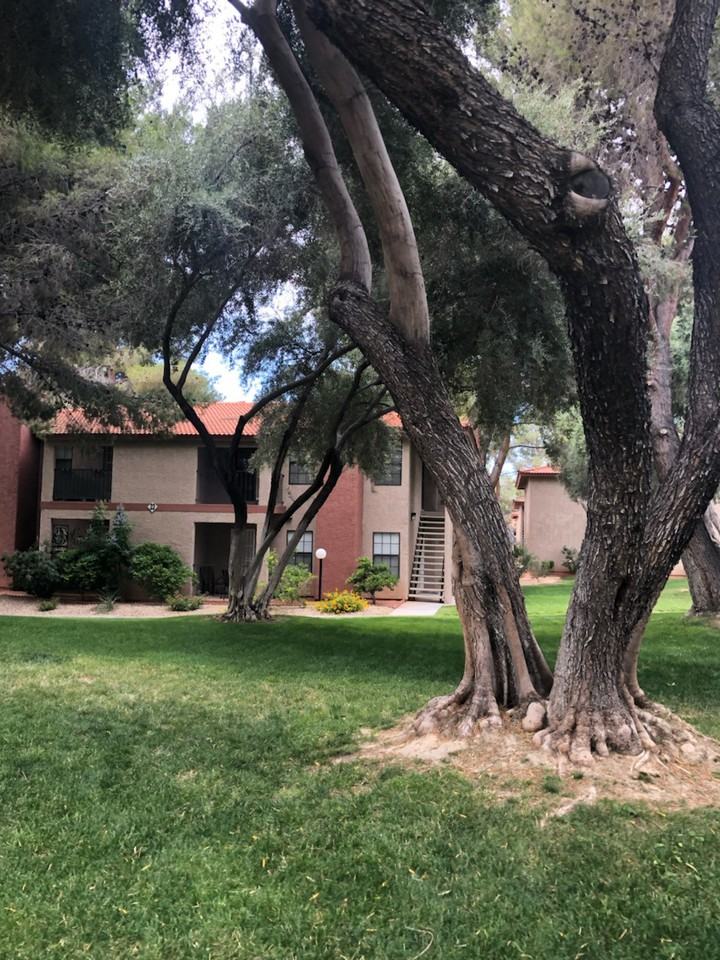 W Rochelle Ave & S Lindell Road - Photo 3 of 37