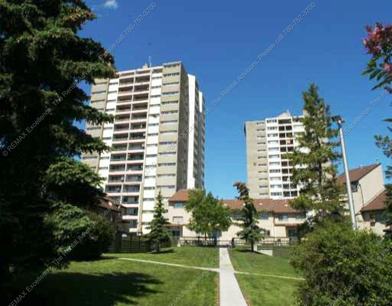 Beautiful 1 Bed 1 Bath Condo W Utilities Included Outdoor