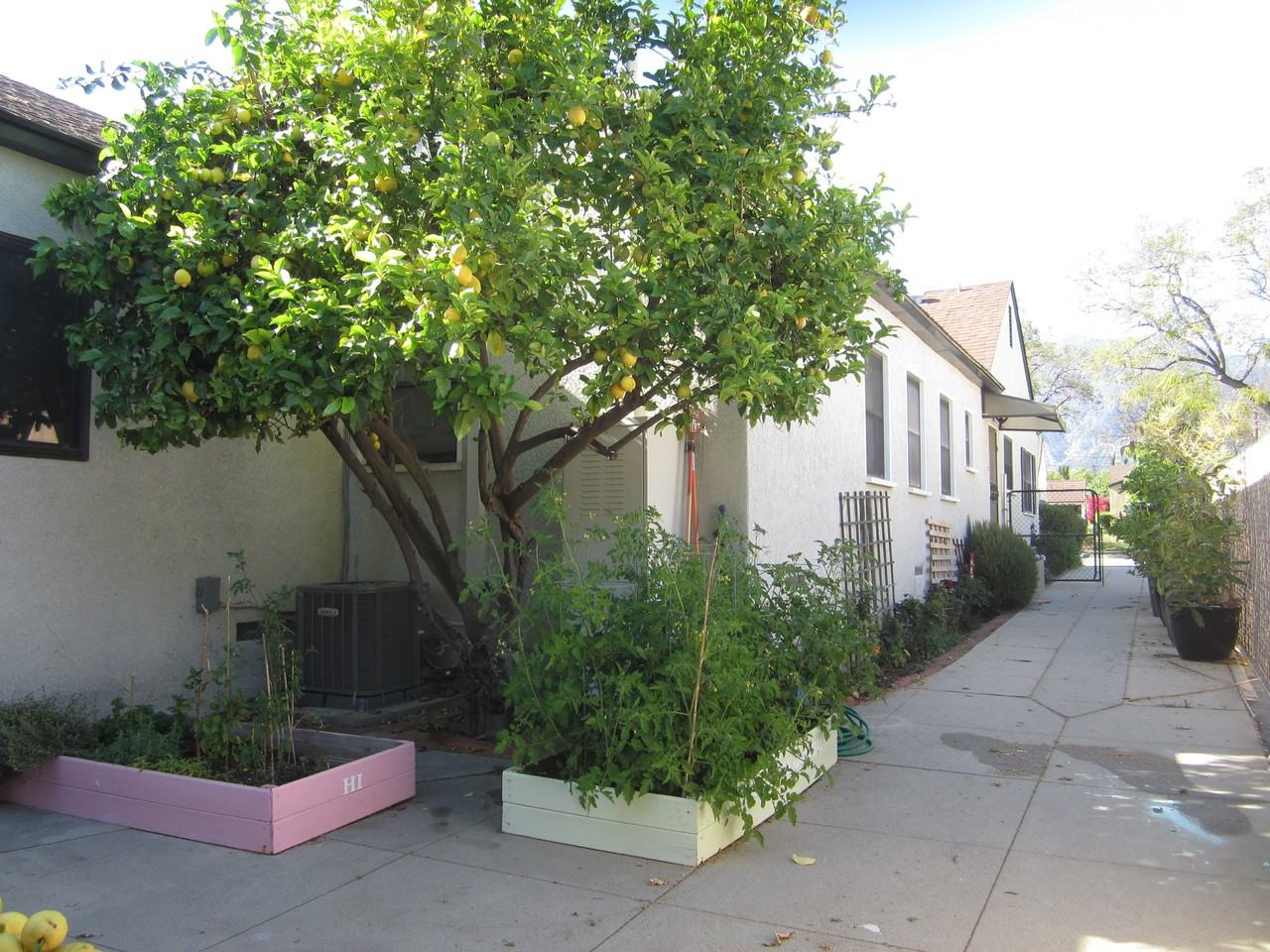 2470 Paloma St - Photo 3 of 32