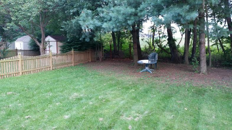19419 Kildonan Dr - Photo 2 of 15