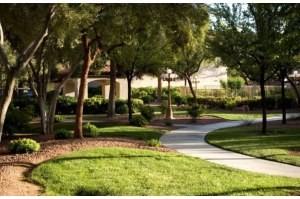 Camden Tiara - Photo 3 of 6