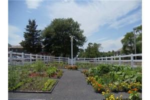 Korman Residential at Willow Shores - Photo 2 of 14