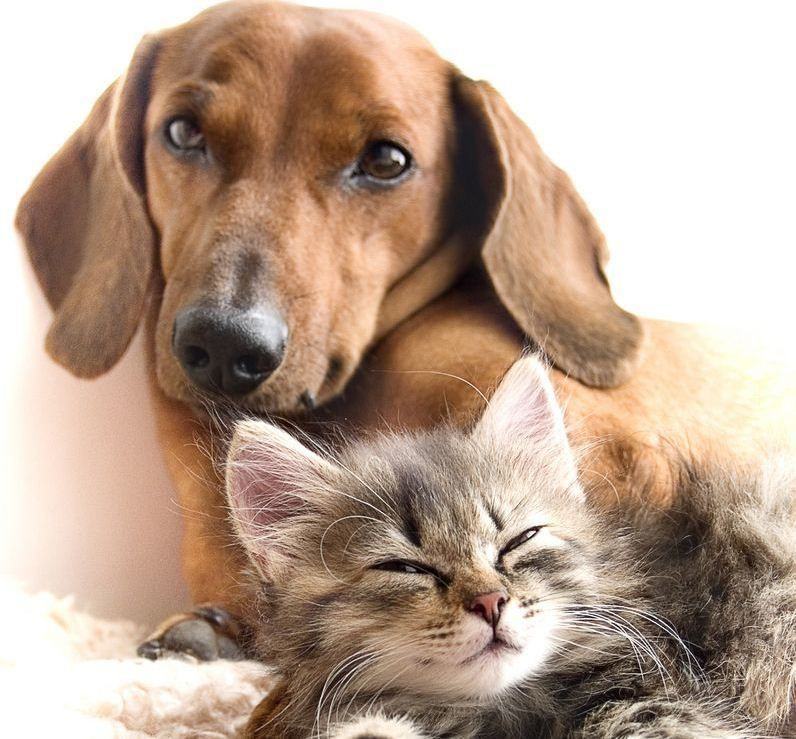 Oak Creek - Photo 3 of 10