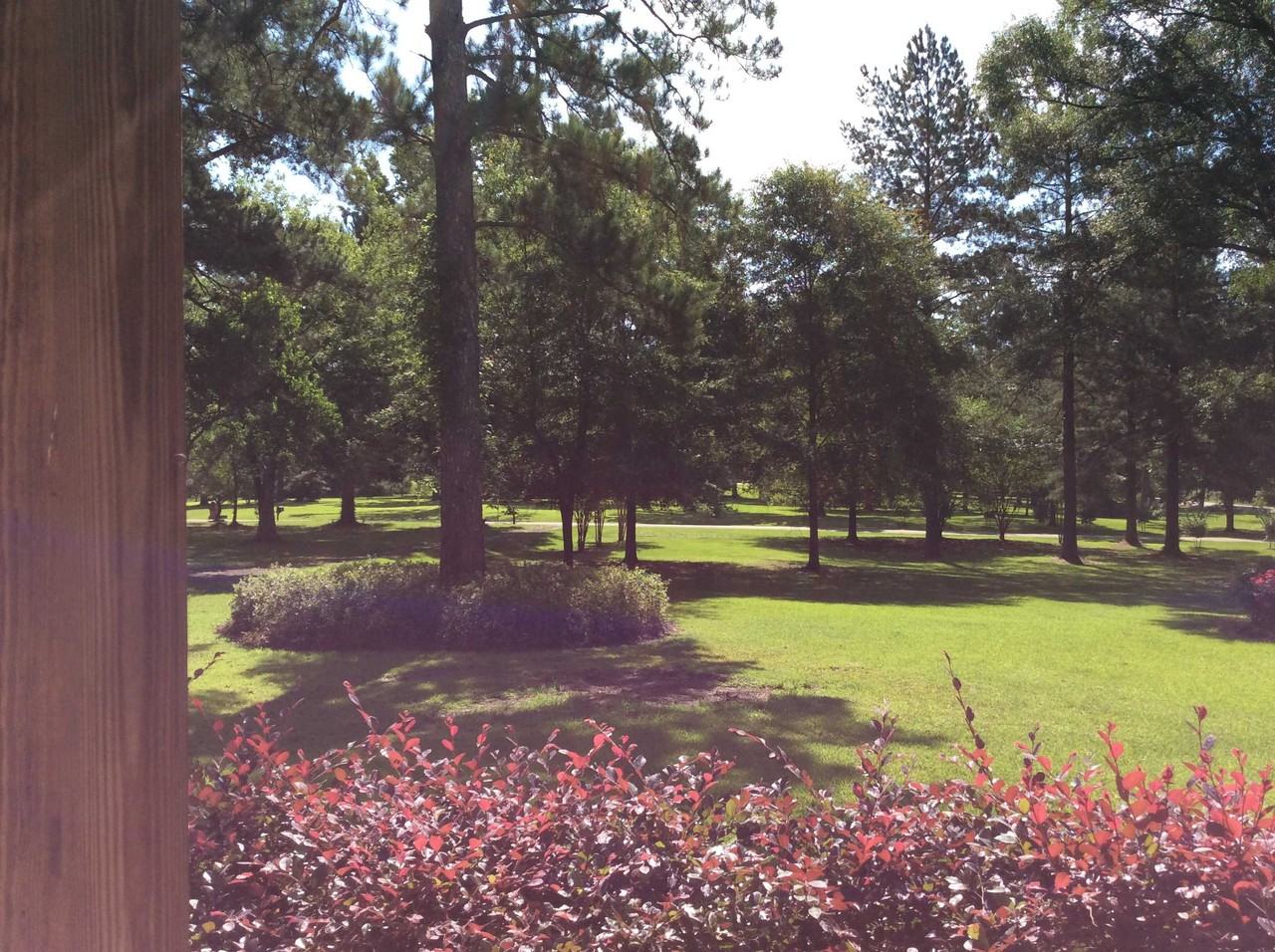 1043 Timberidge Rd - Photo 2 of 17