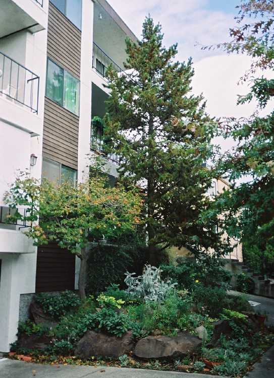 Trondheim - Photo 7 of 7