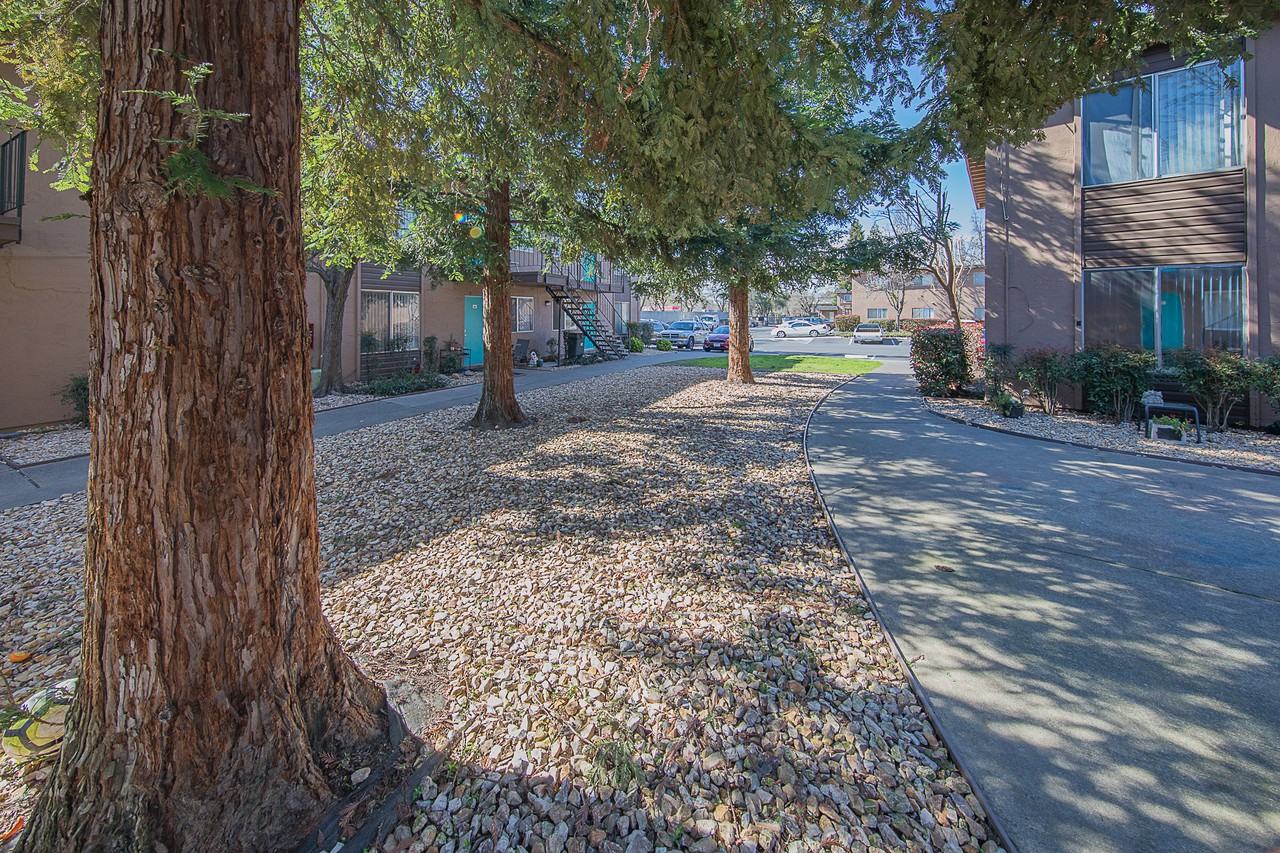 Gold Run Community - Photo 2 of 25