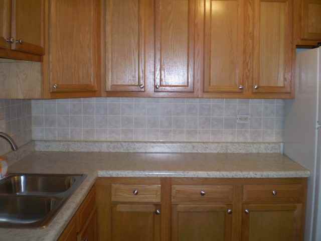 9098 W Golf Rd #2I - Photo 3 of 8