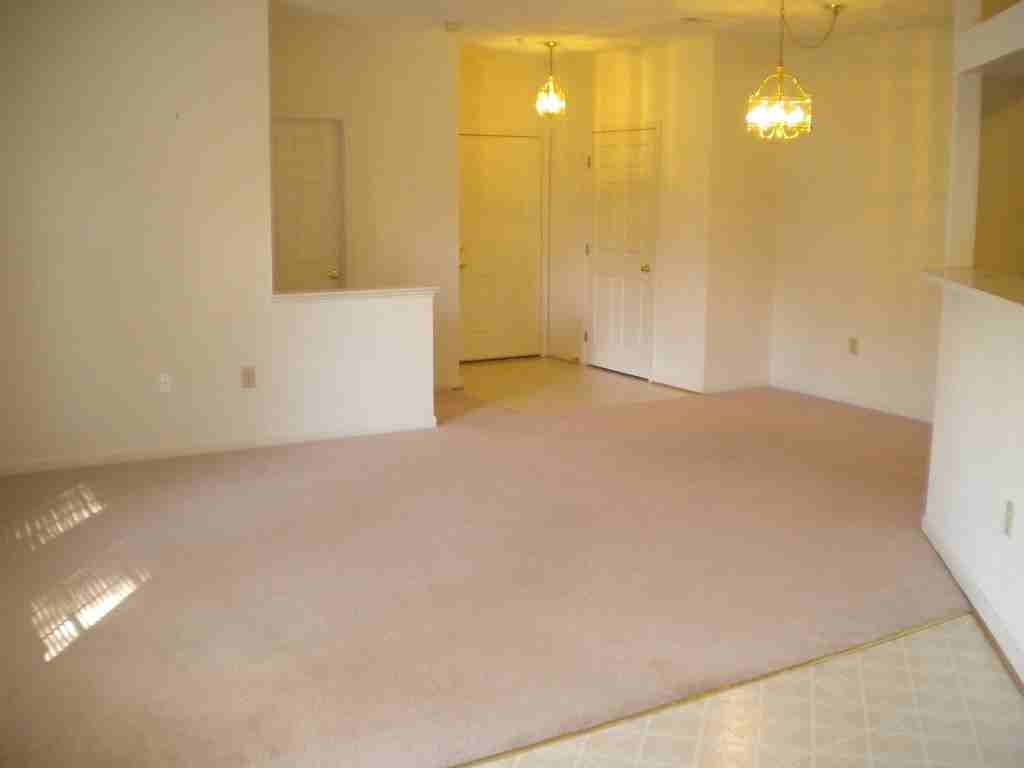 8203 Blue Heron Dr #1B - Photo 3 of 9