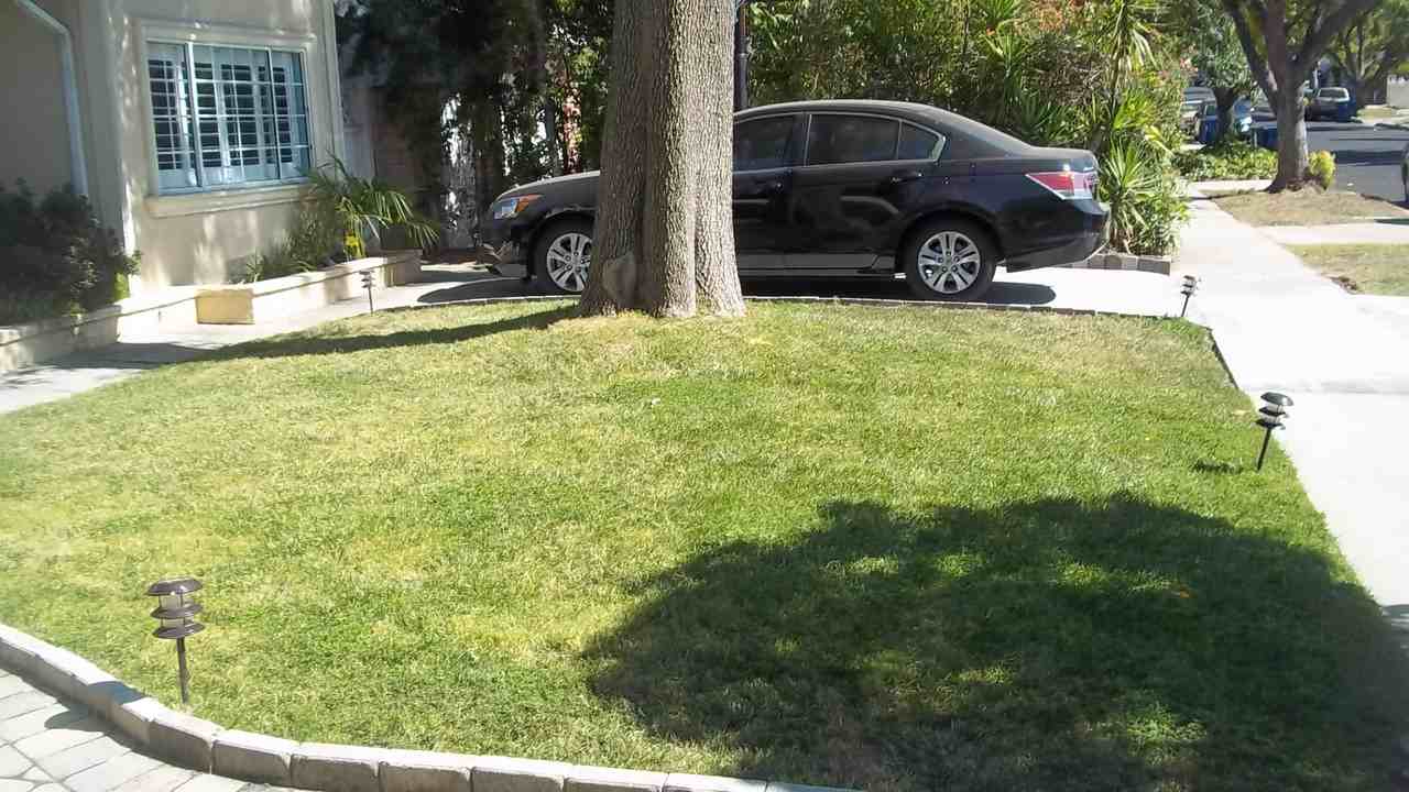 5204 Etiwanda Avenue - Photo 3 of 25