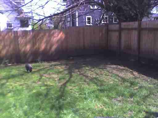 3614 NE 12th Ave - Photo 2 of 6