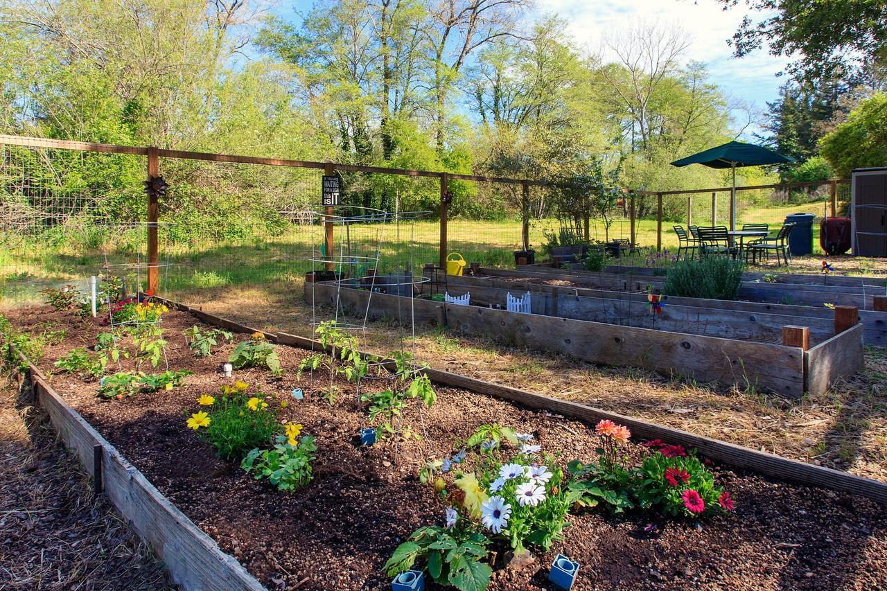 Shadow Creek Apartments - Photo 2 of 15