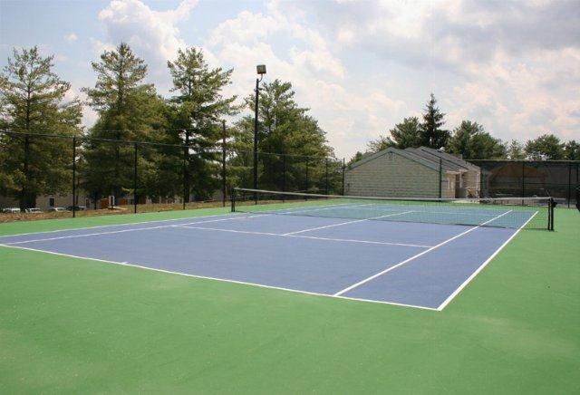 The Meadows - Photo 3 of 32